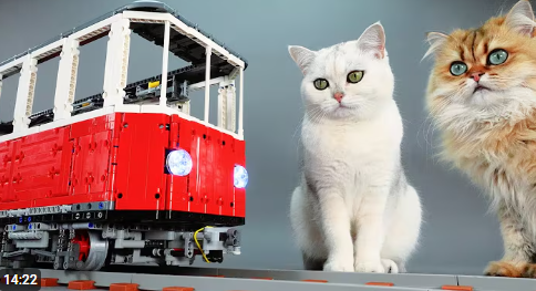 Cat-Sized LEGO Train: Turning Bricks Into a Ride Your Pets Can Actually Use