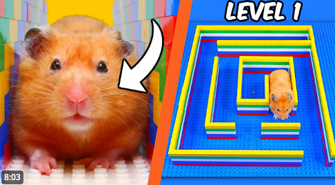 LEGO Hamster Maze: Turning Bricks into a Tiny Adventure Park
