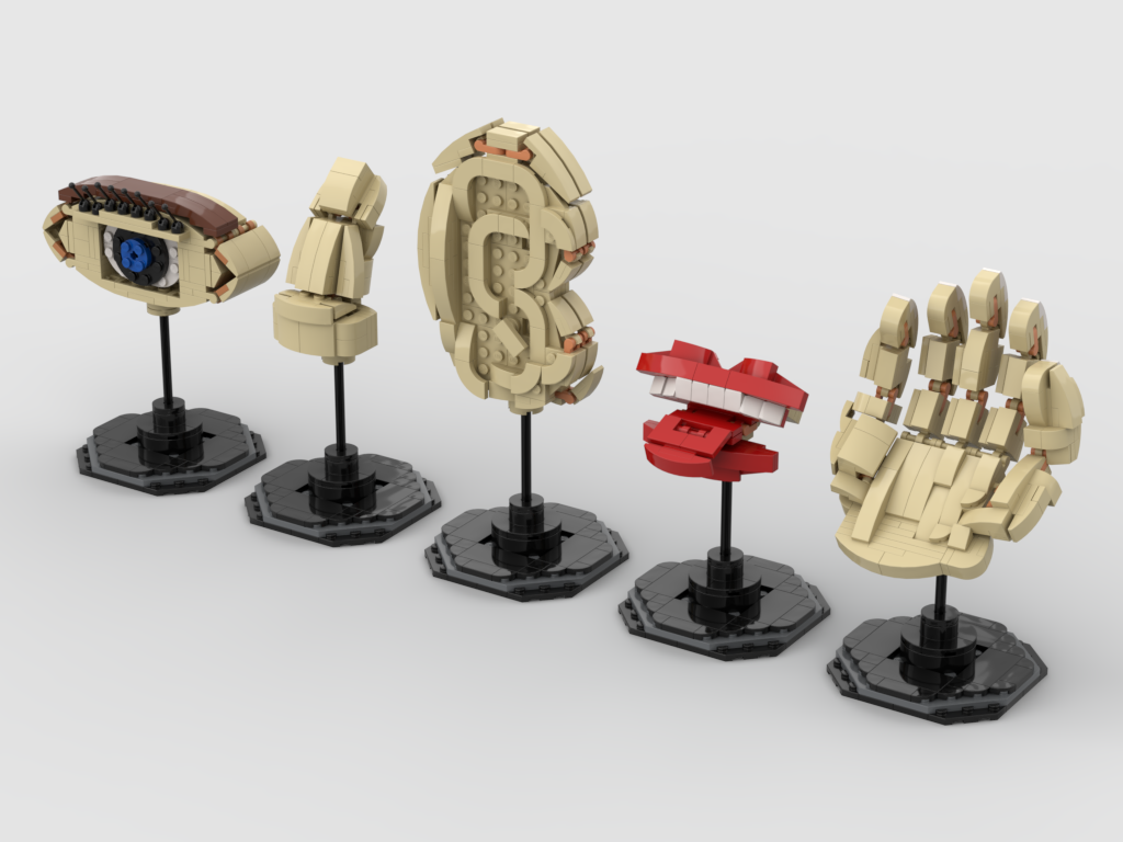 MOC - The Five Senses - How to build it