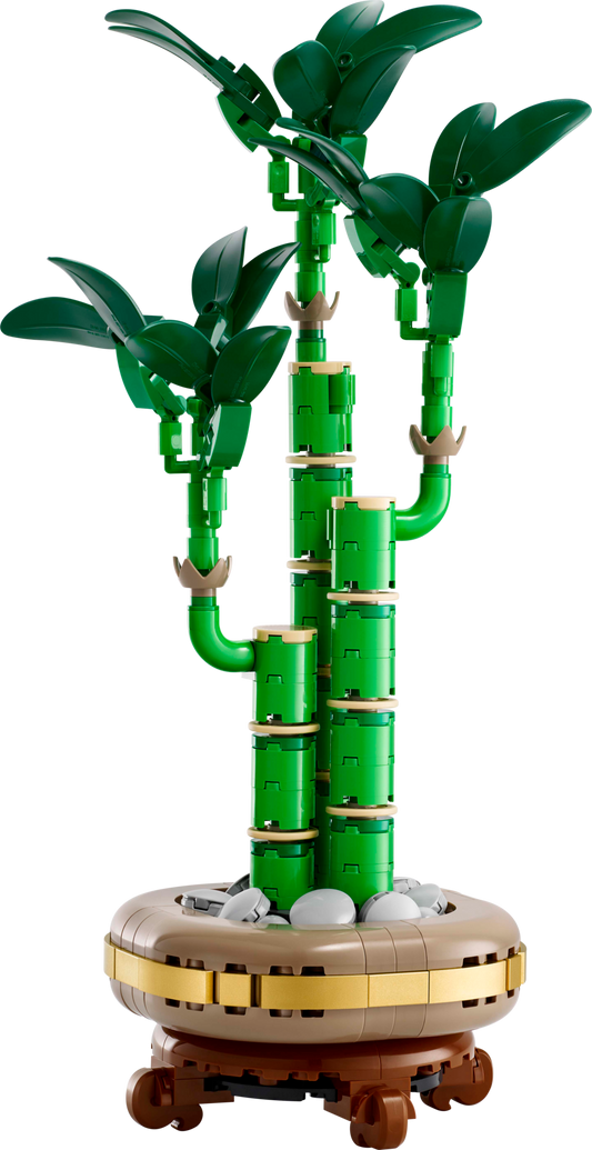 LEGO Set 10344-1 Lucky Bamboo Alternate build Ideas: a fresh display direction
