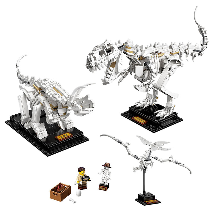 LEGO Set 21320-1 Dinosaur Fossils Alternate build Ideas: Fortresses, Market Scenes, and Medieval Rebuilds